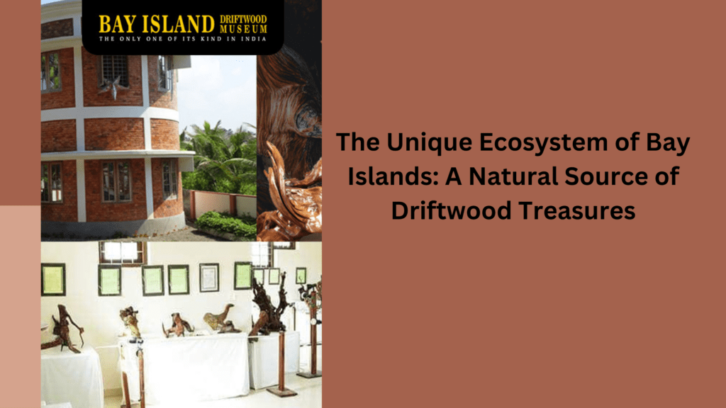 The Unique Ecosystem of Bay Islands: A Natural Source of Driftwood Treasures