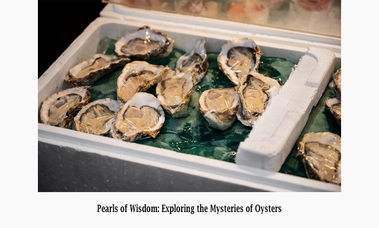 Pearls of Wisdom: Exploring the Mysteries of Oysters